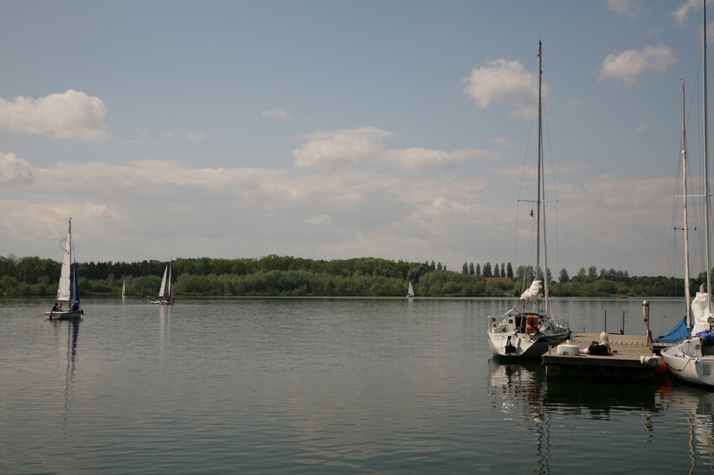 IMG 2014