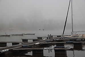 2024-02-28 Nebel am Lippesee