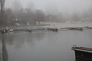 2024-02-28 Nebel am Lippesee