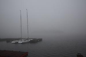 2024-02-28 Nebel am Lippesee