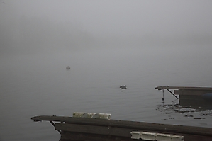 2024-02-28 Nebel am Lippesee