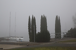 2024-02-28 Nebel am Lippesee